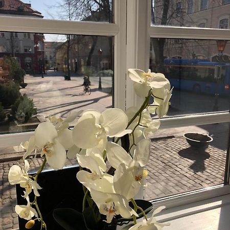 Tiltu 5 Jacuzzi Apartment Klaipėda Eksteriør bilde