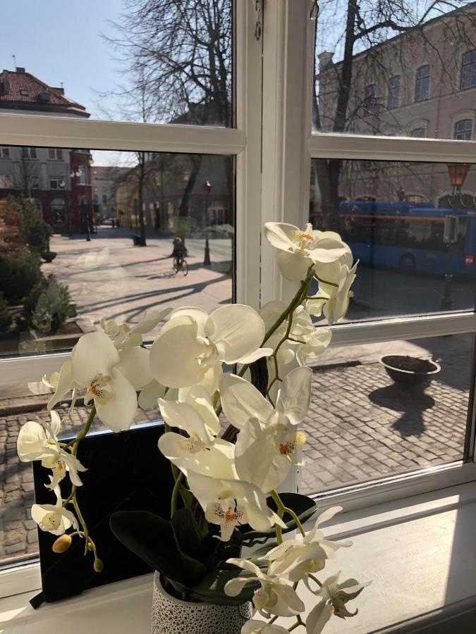 Tiltu 5 Jacuzzi Apartment Klaipėda Eksteriør bilde